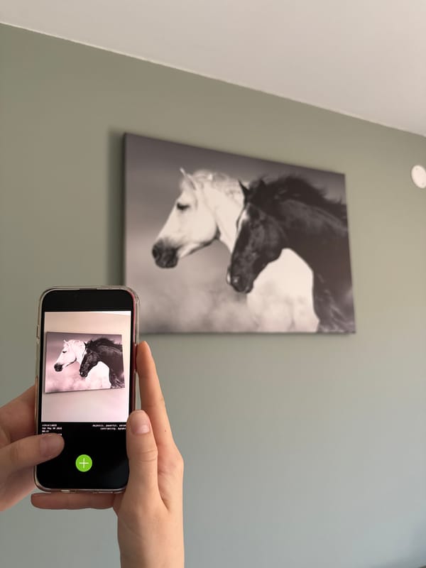 Person documents home interior art and furnishings in Sofia