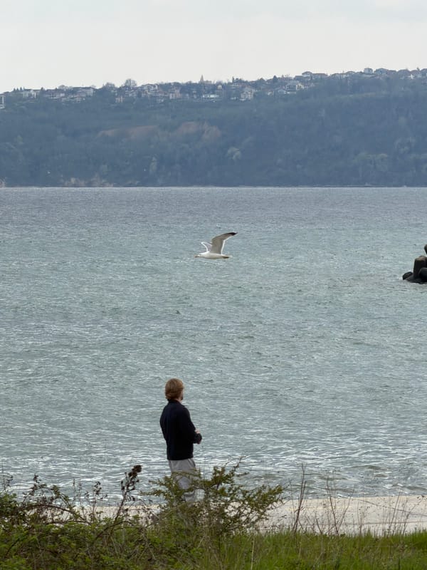 Coastal scenes documented along Varna's Black Sea shoreline
