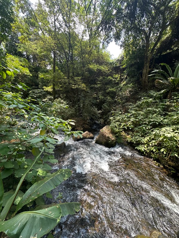 Rapid water flow over rocks captured near Uruapan