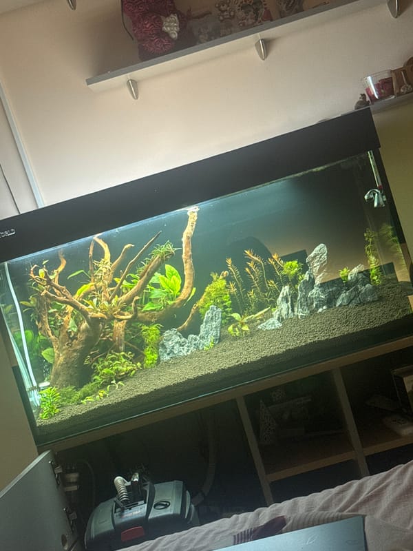 Indoor aquarium maintenance session documented over 37-minute period