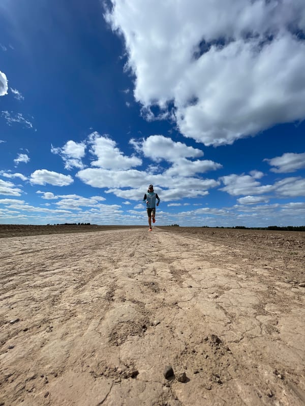 Runner spotted on dirt road in Perevoznoe, Russia