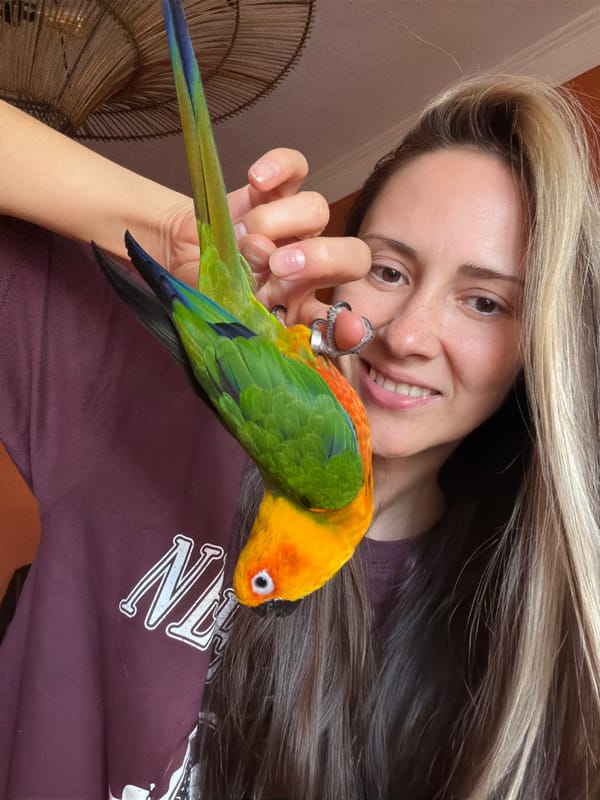 Domestic moments with pet parrot captured in Khimki