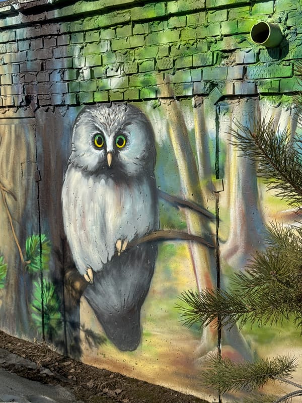Wildlife murals spotted on concrete infrastructure in Chaikovsky