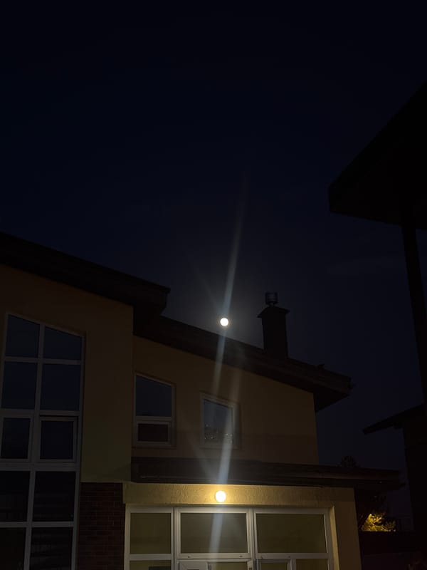 Residential building and kitchen scenes documented in Ptichnoye