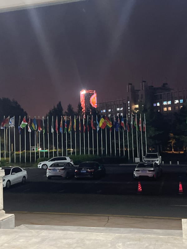 Evening pedestrian activity documented near international flag display in Changchun