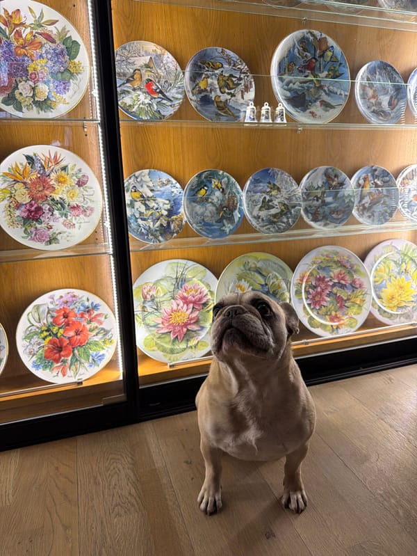 Woman and French Bulldog documented at Korolyov residence