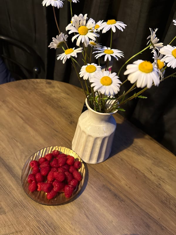Still-life scene with daisies and raspberries photographed in Great Yarmouth
