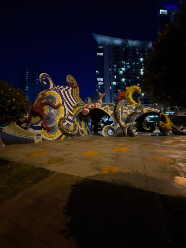 Evening dog walk documented in Batumi's illuminated hotel district