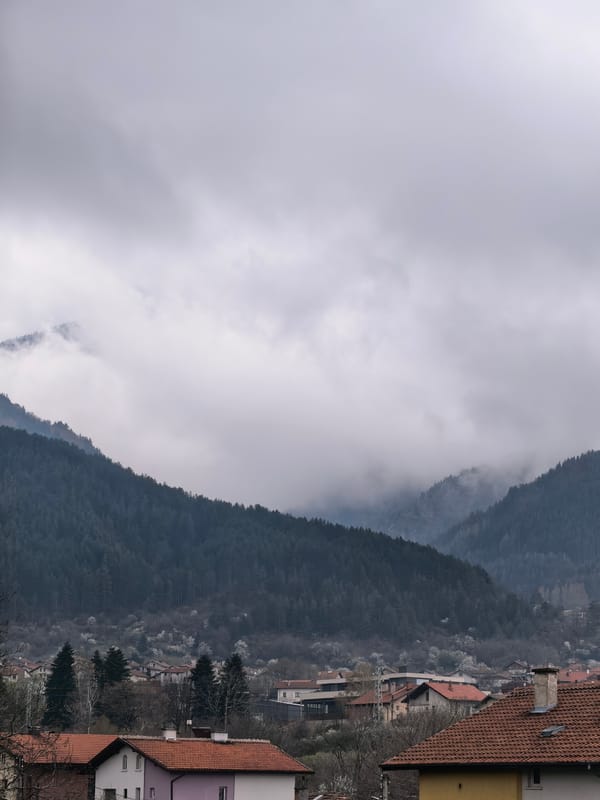 Everyday moments captured during overcast morning in urban area