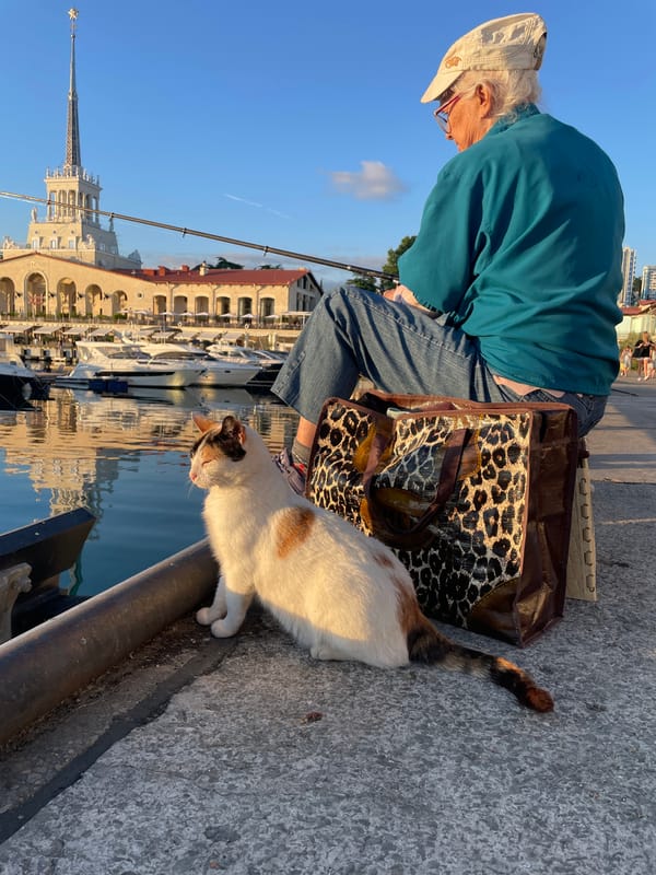 Golden hour stroll through Sochi's marina and waterfront entertainment district