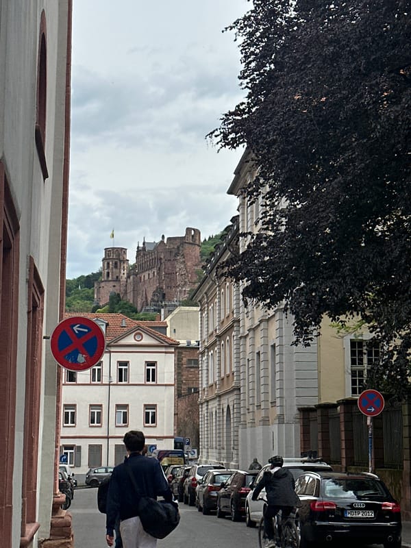 Morning street scenes documented across historic Heidelberg city center