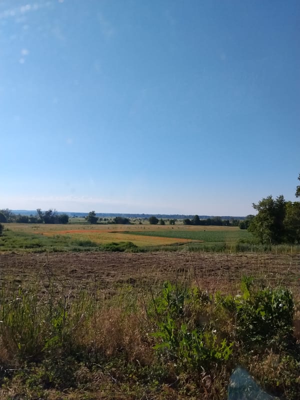 A quiet summer morning walk through Ustyvytsia, Ukraine
