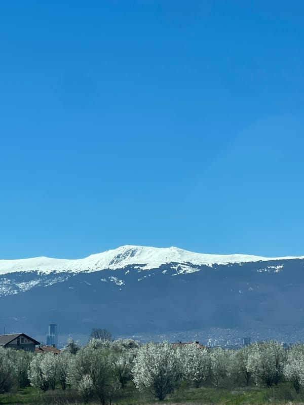 Spring blooms meet snow-capped peaks in Bulgarian mountain vista