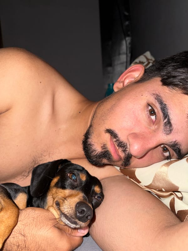 Dog sleeps on Winnie the Pooh pillow in Argentina