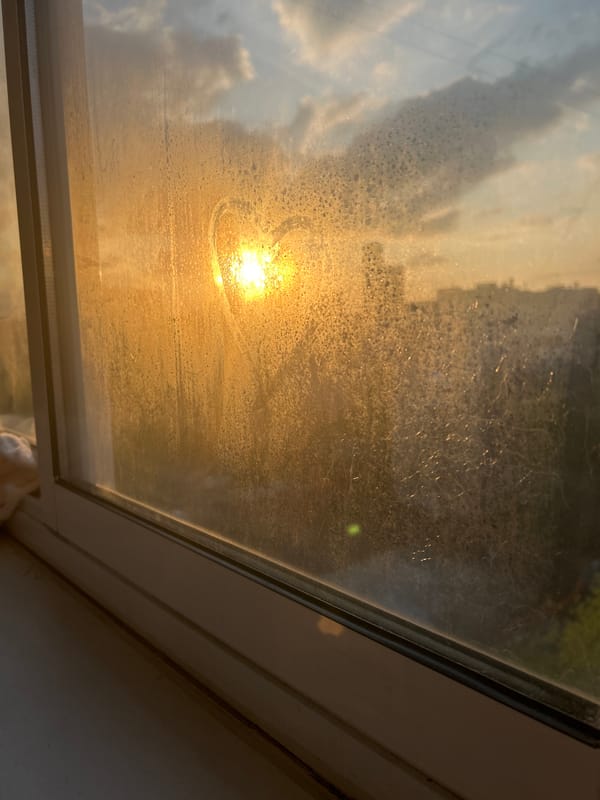 Domestic moments captured during afternoon hours in Khimki, Russia