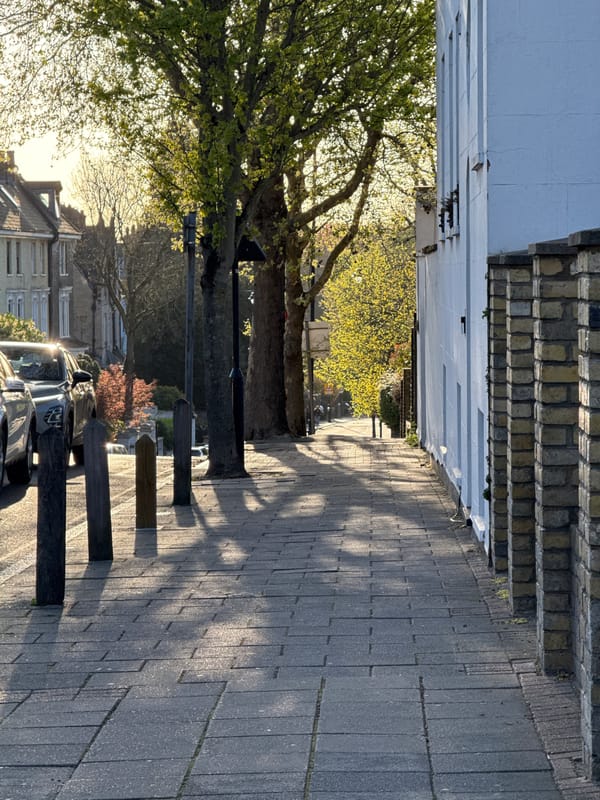London residential area documented during spring bloom season