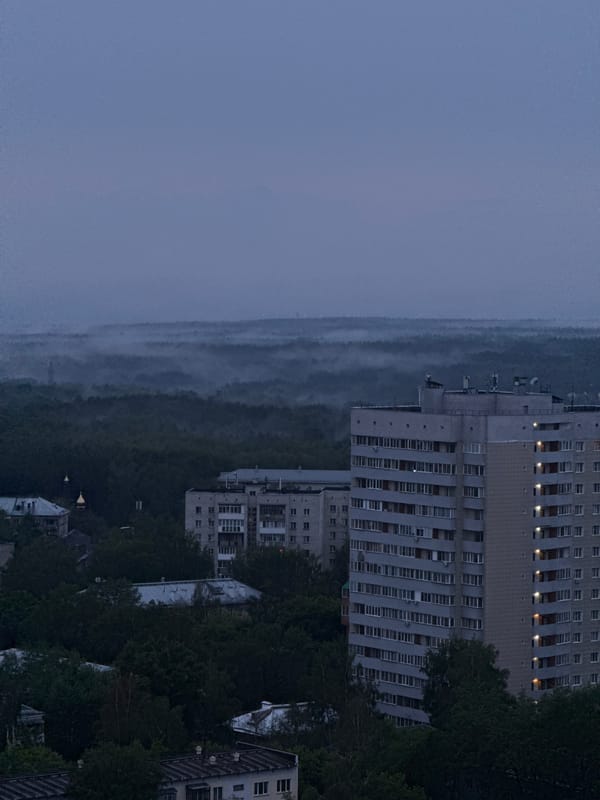 Novosibirsk skyline at twilight, green canopy meets residential blocks