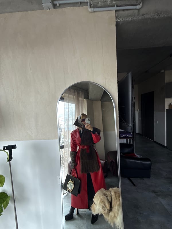 Person and dog captured in mirror reflection in Yerevan