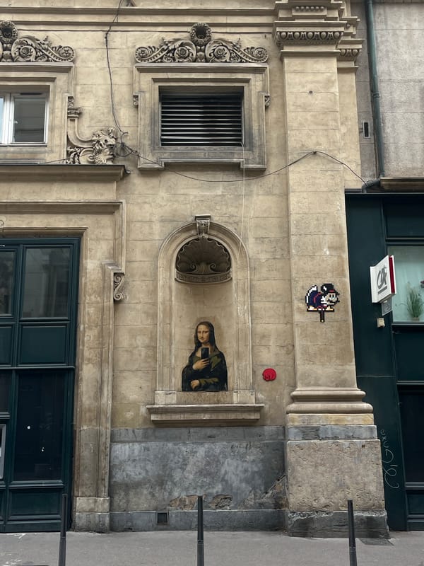 Architectural details documented on Lyon building facade