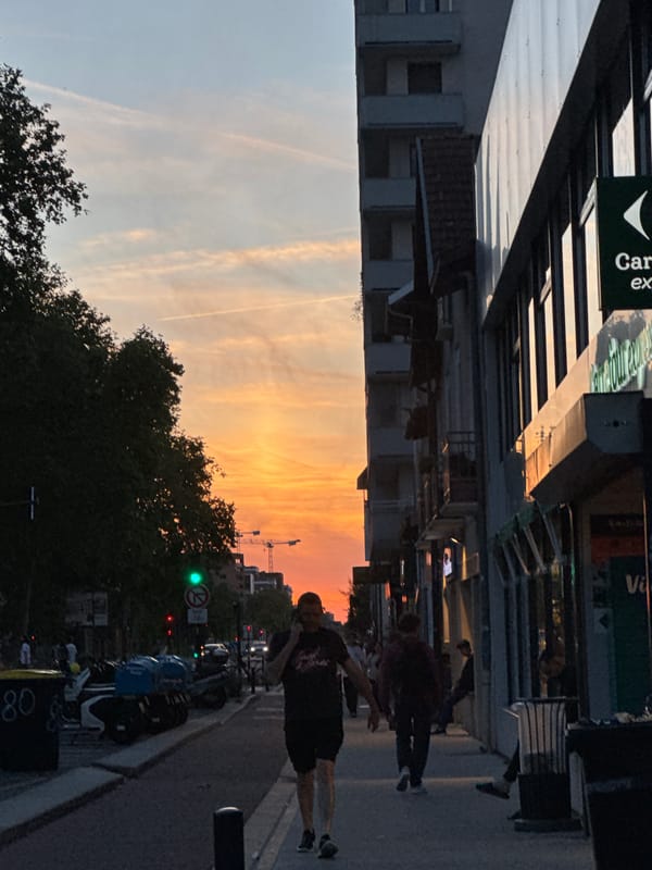 Evening observations capture Toulouse streetscapes, flowers, contrails during sunset