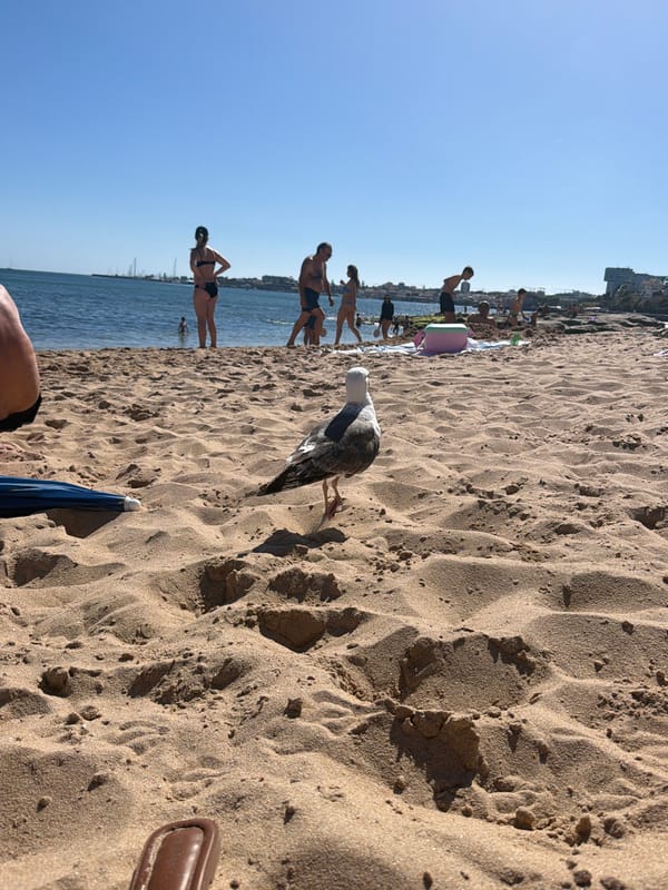 Packed summer afternoon on the beaches of Cascais, Portugal