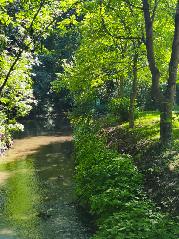 Wooded stream near Ternopil, captured from multiple angles
