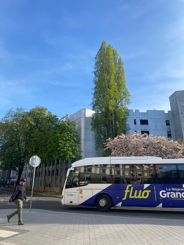 Public bus parked on city street during sunny afternoon