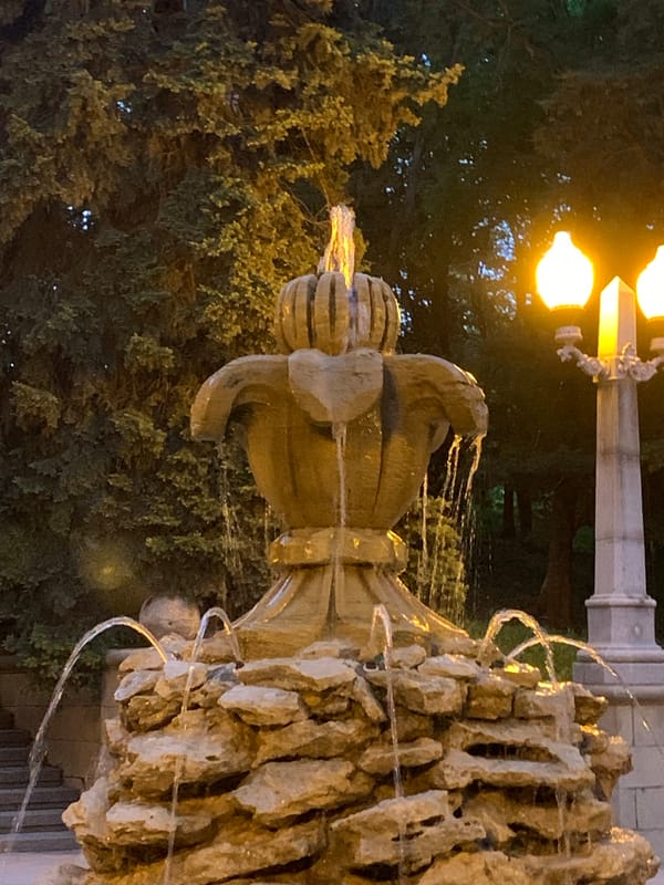 Evening twilight scenes documented across Stavropol park areas