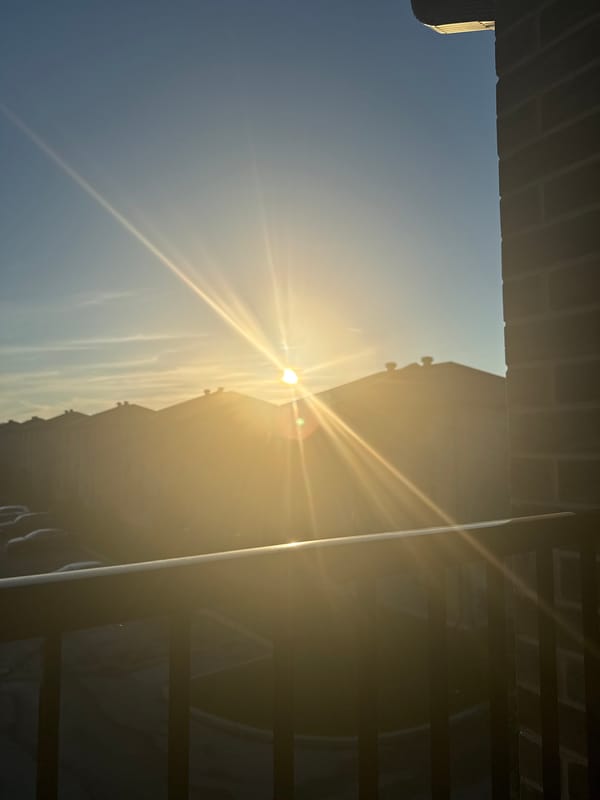 Gatineau balcony garden at sunrise, cat included