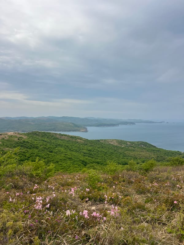 SUV stops at scenic Russian overlook amid spring blooms