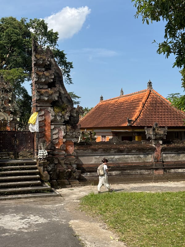 Temples, roosters, and rural life at a Gianyar agro-tourism site
