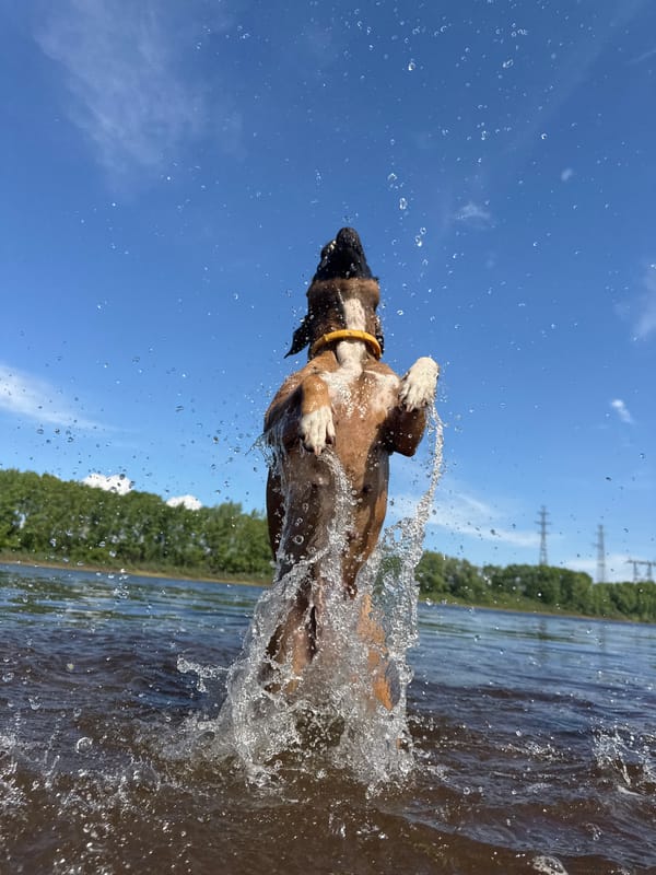 Family fishing trip with dog captured in Chaikovsky Russia