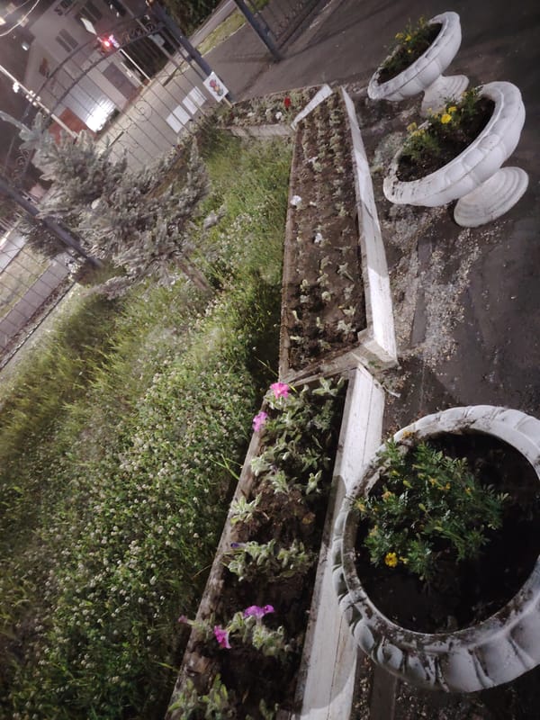 Evening documentation of urban Pavlodar neighborhoods captured in 21 scenes