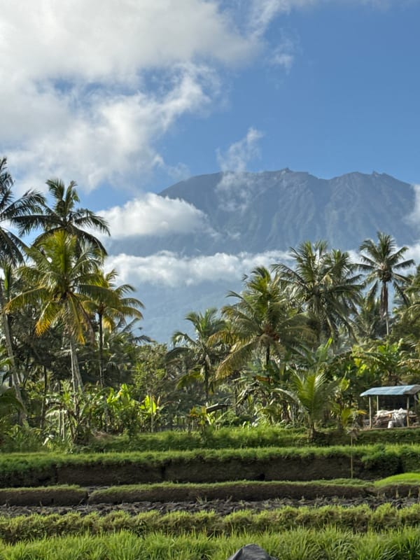 Terraced rice fields and a volcano in Selat, Indonesia
