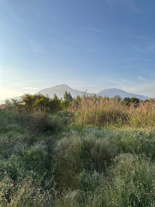 Morning coastal scenes and tourist moments captured in Fethiye
