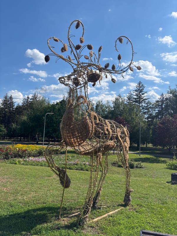 Park sculptures and city scenes from afternoon exploration