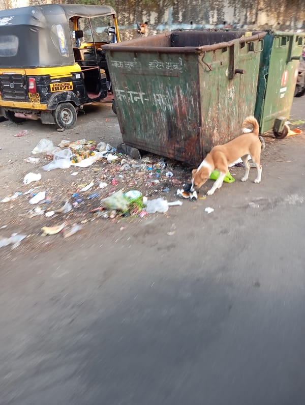Late night street life captured in Mumbai