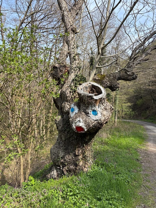 Rural scenes documented near Gurkovo, Bulgaria including fallen tree