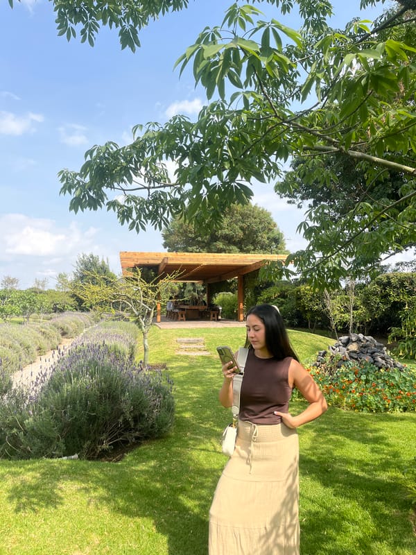 Evening moments captured at rustic Cholula venue with lavender fields