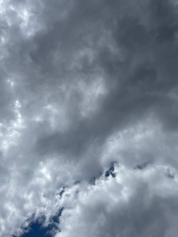 Casual outdoor meal observed in Graf Ignatievo under cloudy skies