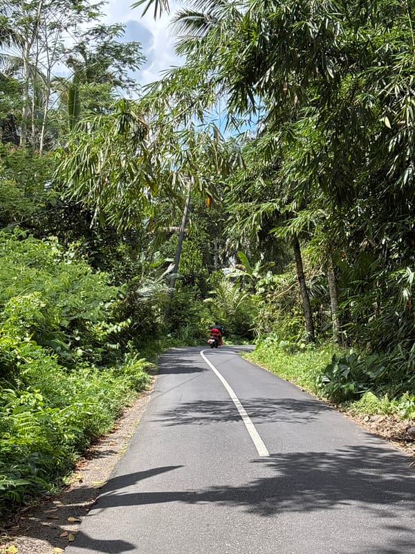 Two riders travel rural Tegallalang road by motorcycle