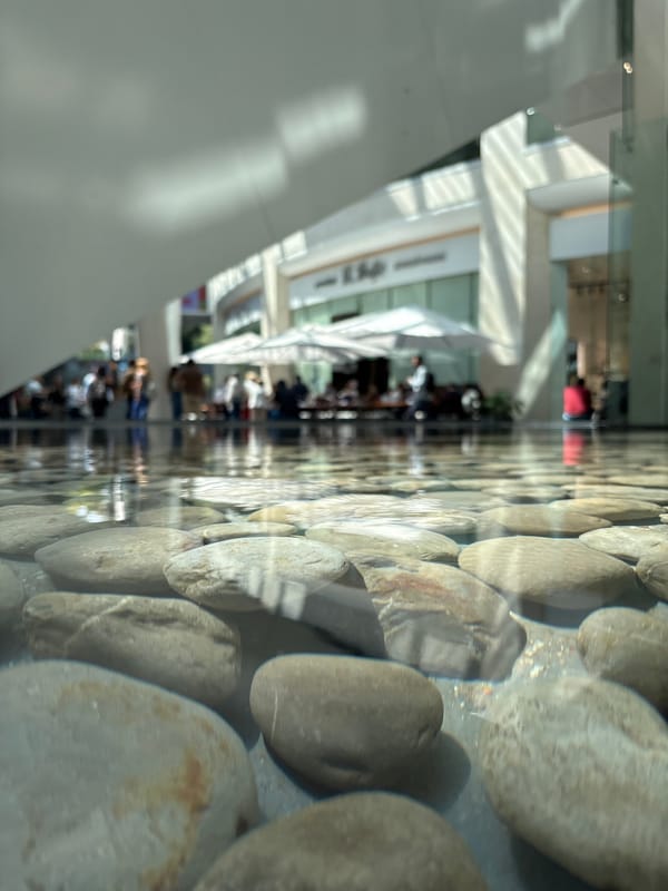 Glass partition with decorative stones observed in Mexico City