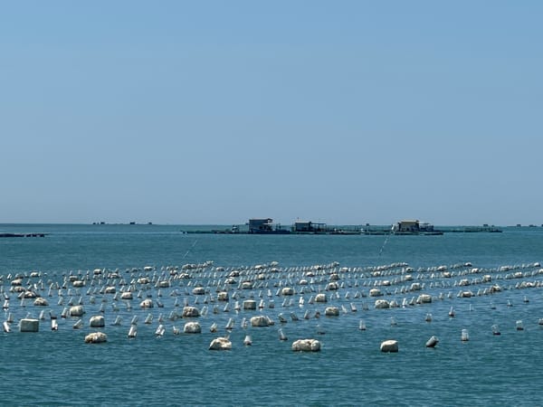Aquaculture farms float off Nha Trang's island-dotted coastline