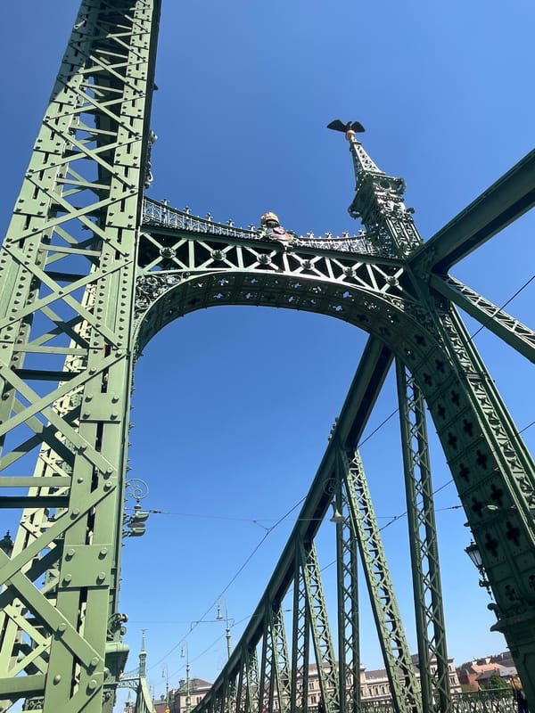 Liberty Bridge photographed from below in clear Budapest weather