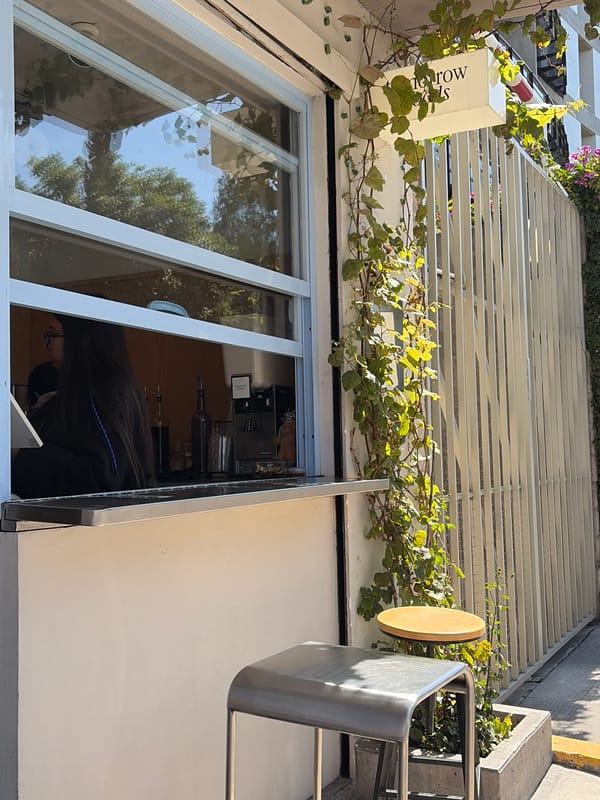 Everyday life documented across Puebla cafes, yoga studios, vehicles