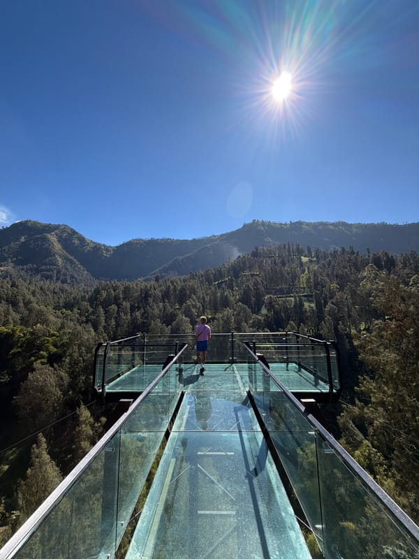 Glass observation deck over a forested valley in Jetak