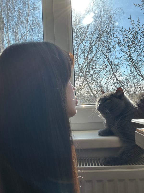 Morning routines captured in Riga homes