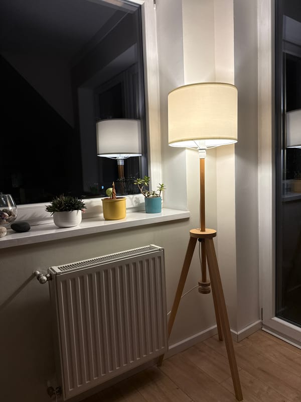 Person takes indoor selfies in Budapest apartment setting