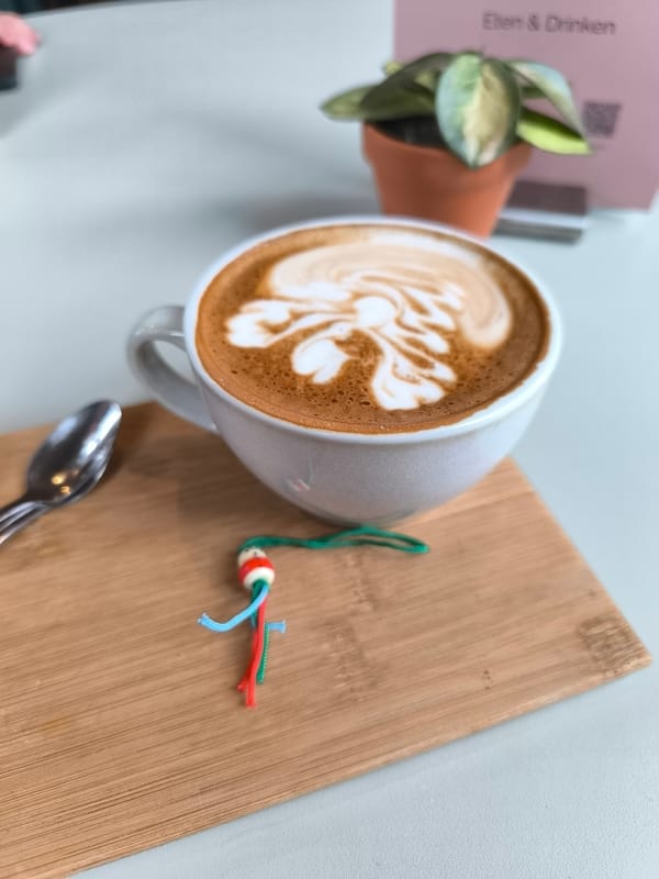 Morning cafe culture and street life documented in Alkmaar