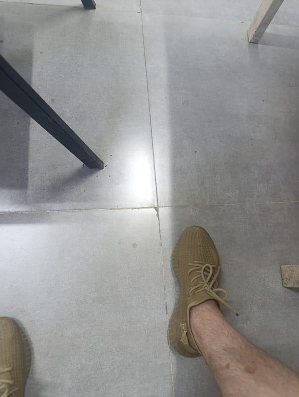 Shoes and a houseplant on a gray tiled floor.